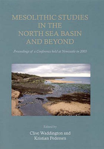 Cover image for Mesolithic Studies In The North Sea Basin And Beyond