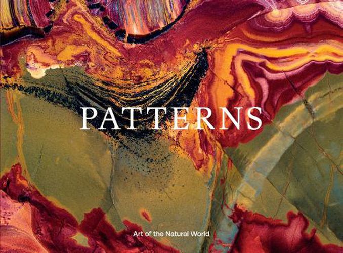 Cover image for Jon McCormack: Patterns. Art of the Natural World