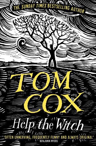 Cover image for Help the Witch