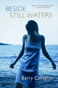 Cover image for Beside Still Waters