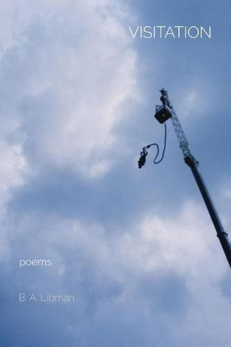 Cover image for Visitation: poems