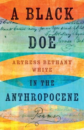 Cover image for A Black Doe in the Anthropocene