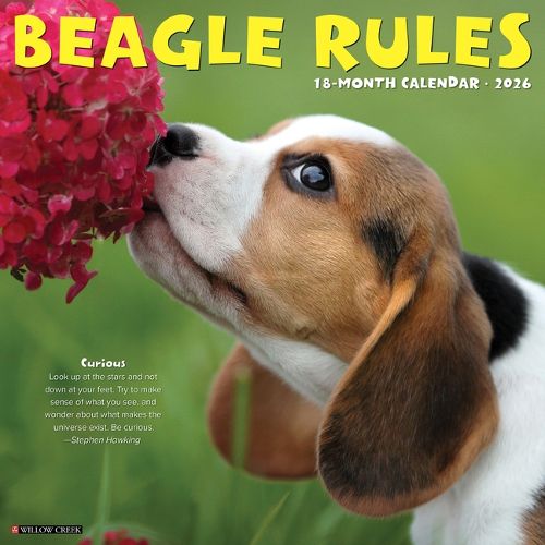 Cover image for Beagle Rules 2026 12 X 12 Wall Calendar