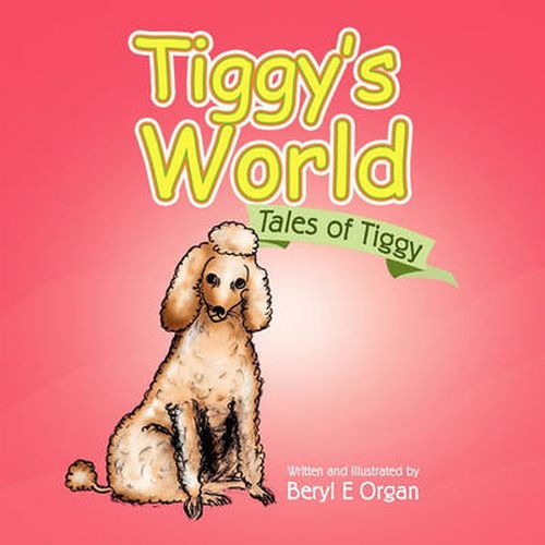 Cover image for Tiggy's World