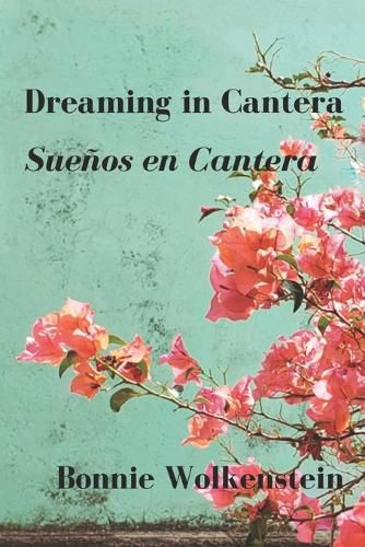 Cover image for Dreaming in Cantera / Suenos en Cantera