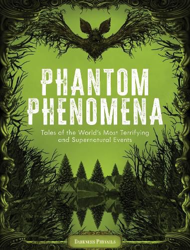 Cover image for Phantom Phenomena