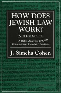 Cover image for How Does Jewish Law Work?: A Rabbi Analyzes 119 More Contemporary Halachic Questions