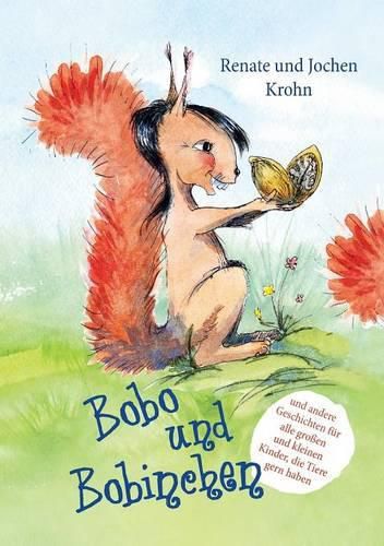 Cover image for Bobo und Bobinchen