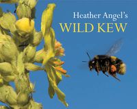 Cover image for Heather Angel's Wild Kew