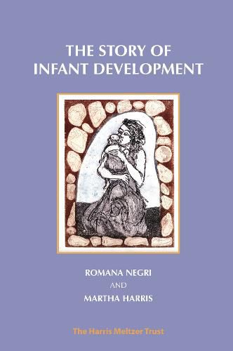 Cover image for The Story of Infant Development