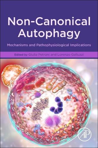 Cover image for Non-Canonical Autophagy: Mechanisms and Pathophysiological Implications