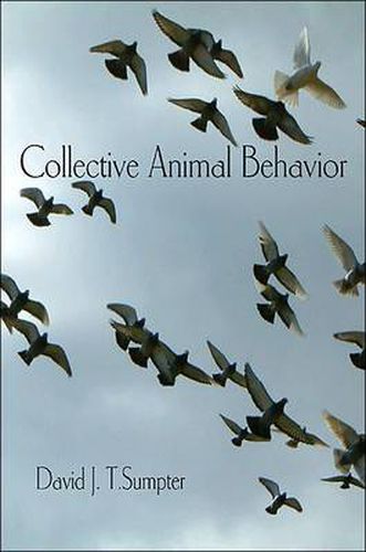 Cover image for Collective Animal Behavior