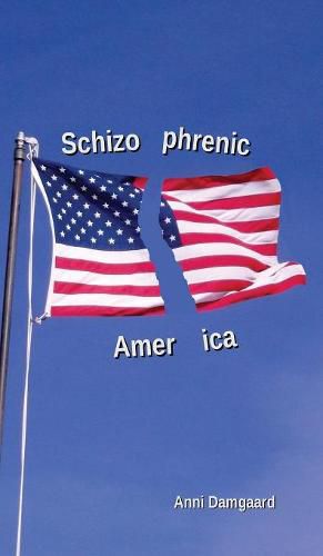 Cover image for Schizophrenic America