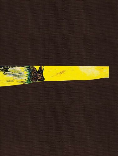 Cover image for Rachel Jones: a shorn root