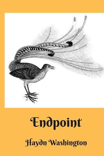 Cover image for Endpoint