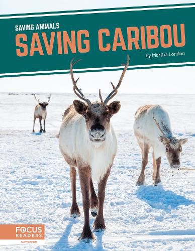 Cover image for Saving Animals: Saving Caribou