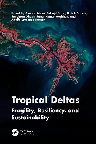 Cover image for Tropical Deltas