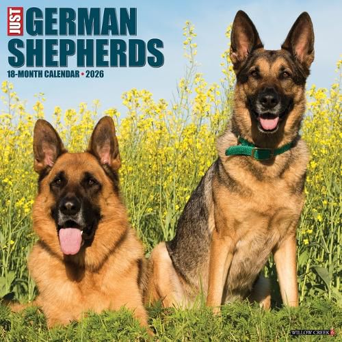 Cover image for German Shepherds 2026 12 X 12 Wall Calendar