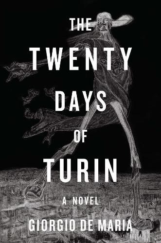 Cover image for The Twenty Days of Turin: A Novel