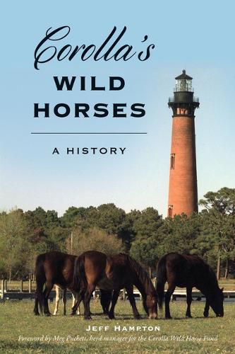 Cover image for Corolla's Wild Horses