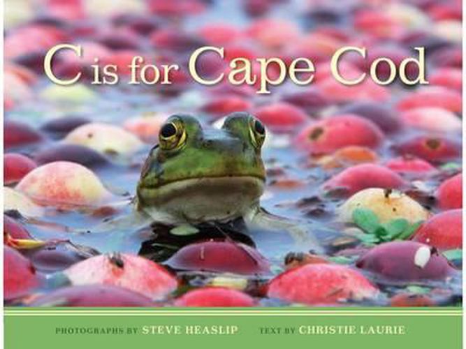 Cover image for C Is for Cape Cod