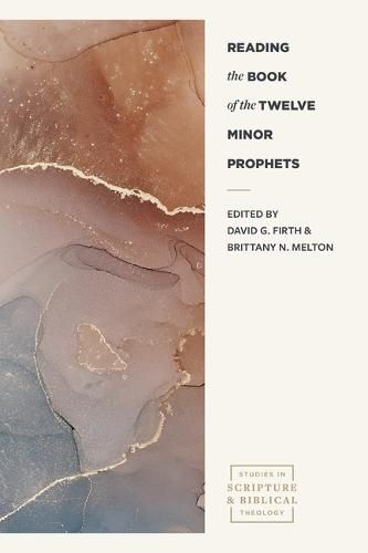 Cover image for Reading the Book of the Twelve Minor Prophets