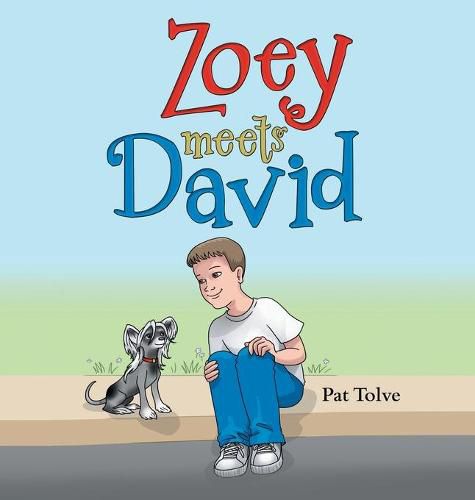 Cover image for Zoey Meets David