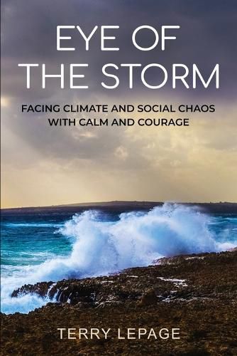 Cover image for Eye of the Storm