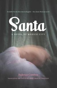 Cover image for Santa: A Novel of Mexico City