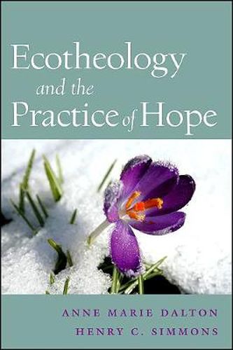 Cover image for Ecotheology and the Practice of Hope