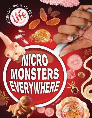 Cover image for Micro Monsters Everywhere!