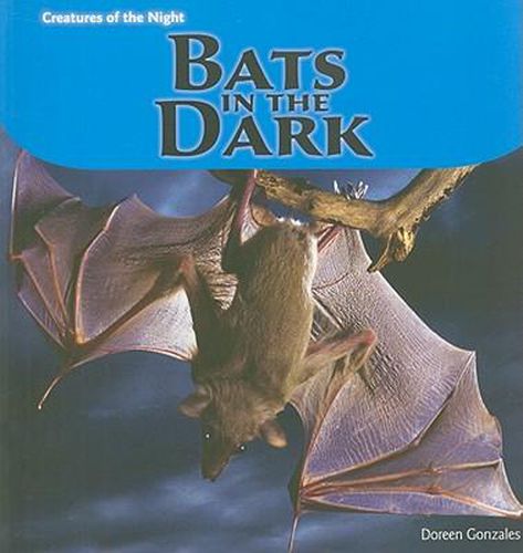 Cover image for Bats in the Dark