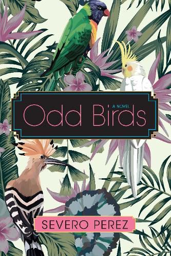 Cover image for Odd Birds