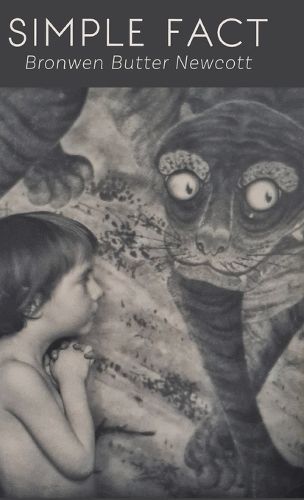 Cover image for Simple Fact