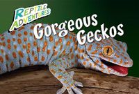 Cover image for Gorgeous Geckos