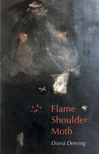 Cover image for Flame Shoulder Moth