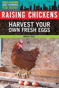 Cover image for Raising Chickens