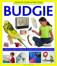 Cover image for How to Look After Your Budgie
