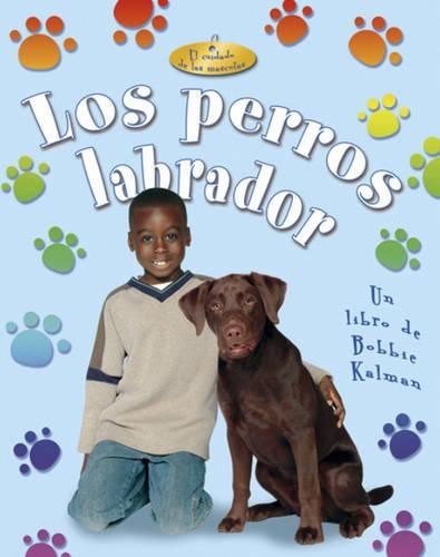 Cover image for Los Perros Labrador