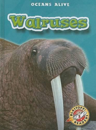 Cover image for Walruses