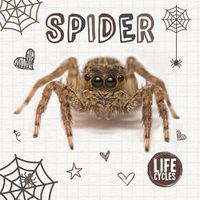 Cover image for Spider