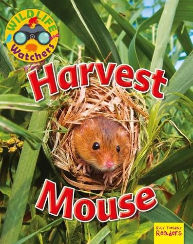 Cover image for Harvest Mouse