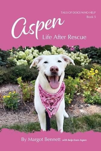 Cover image for Aspen, Life After Rescue