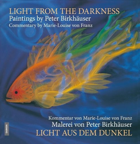 Cover image for Light from the Darkness: The Paintings of Peter Birkhaeuser