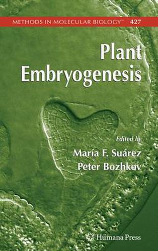 Cover image for Plant Embryogenesis