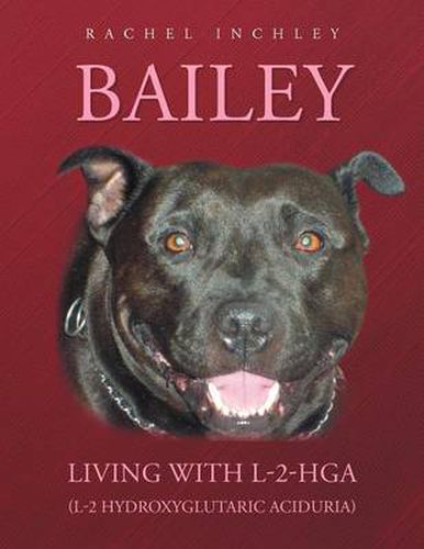 Cover image for Bailey Living with L-2-Hga (L-2 Hydroxyglutaric Aciduria)