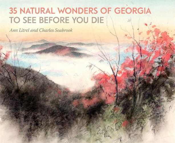 Cover image for 35 Natural Wonders of Georgia to See before You Die