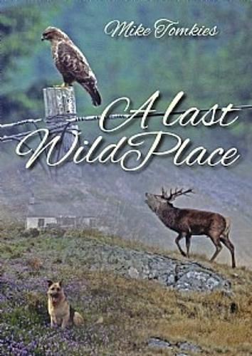 Cover image for A Last Wild Place