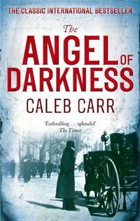 Cover image for The Angel Of Darkness: Number 2 in series