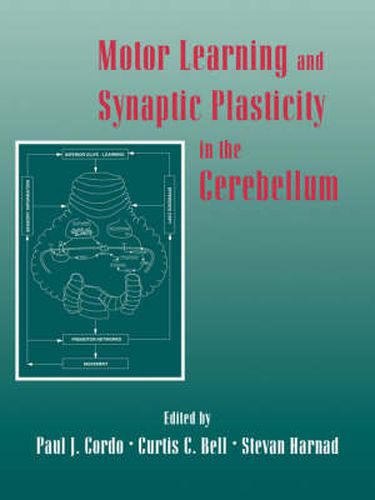 Cover image for Motor Learning and Synaptic Plasticity in the Cerebellum